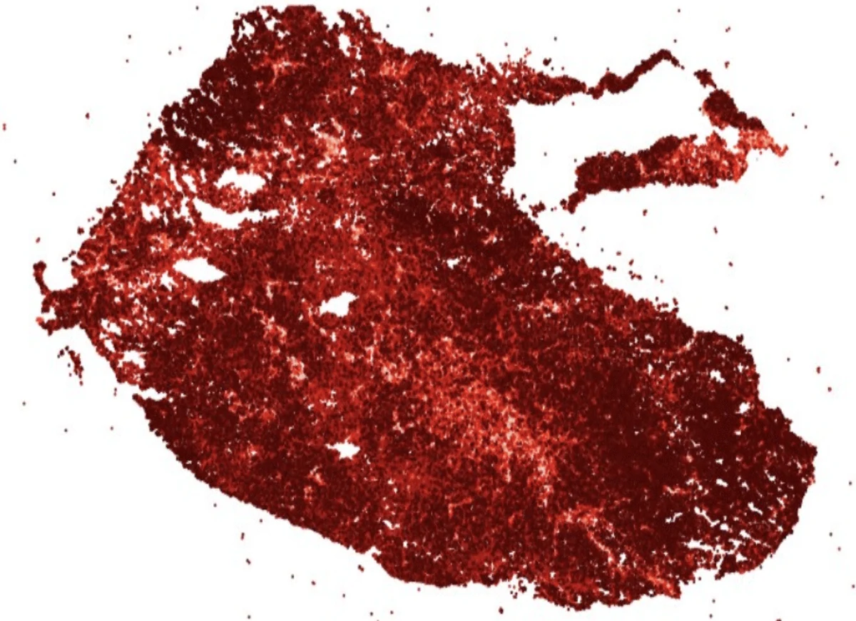 A second single-cell embedding rendered as a dense red mass, showing the concentration of cells across the same coordinate space.